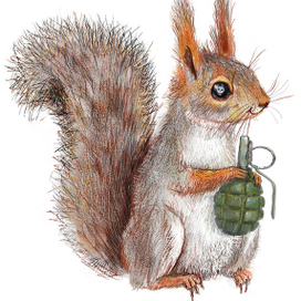 Опасная белочка