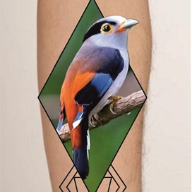 птица в ромбе