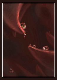 Капельки росы...