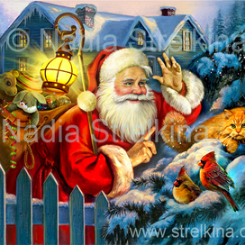 Кот и Санта