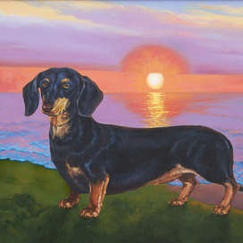 Умка у моря