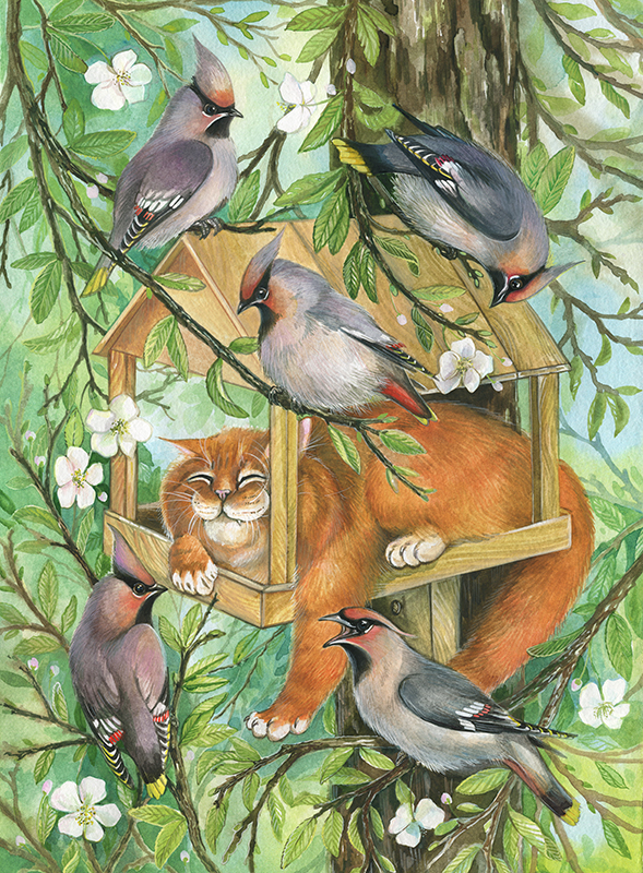 Кот в кормушке