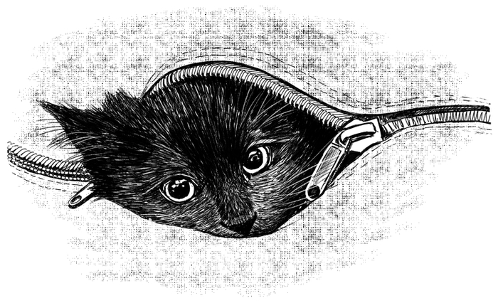 Иллюстрация для детской книги "Кошкин город. Бродячие истории"