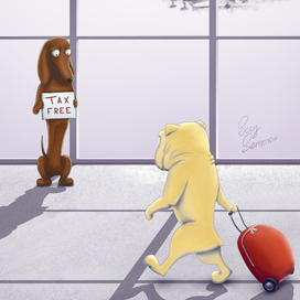 В аэропорту