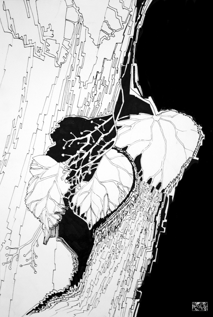 Березовый лист