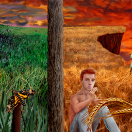 Обложка книги забракованная автором