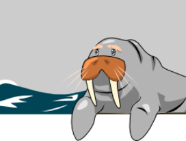 Моржовый баннер