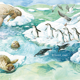 Арктика "Стихи-загадки" для малышей