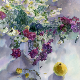 Последние хризантемы