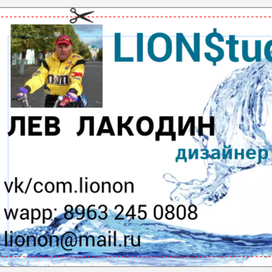 ЛИОНстудио