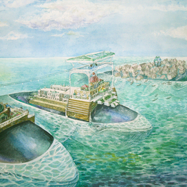 whale tale - киты в дрейфе