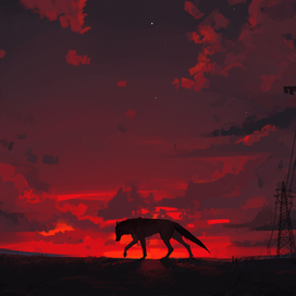 Sky | sunset | wolf