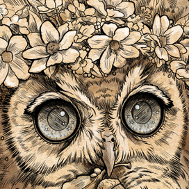 Совушка. Иллюстрация для книги