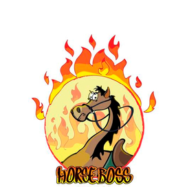 HorseBoss