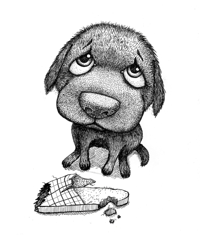 Плохая собака