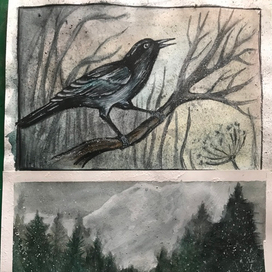 Дрозды и горы