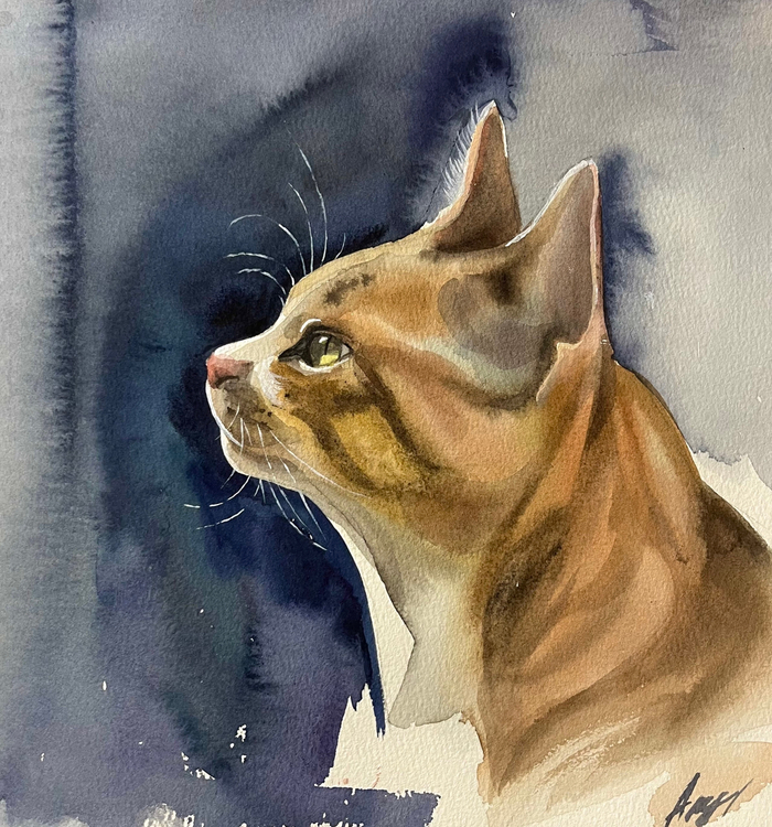 портрет котика