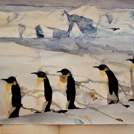 penguins