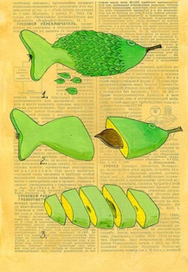 Разделка фишфрукта