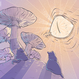 Безымянная