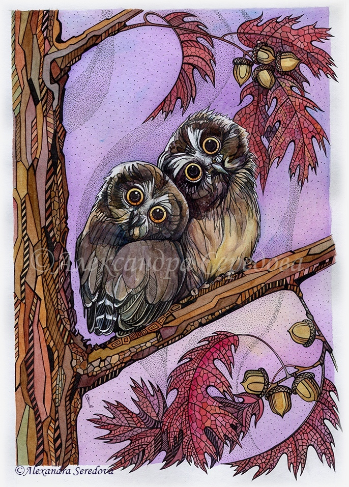 Совушки. Сычики на красном дубе.