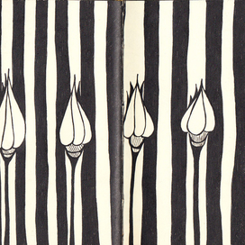 Белые бутоны в полоску