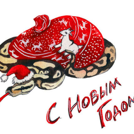 Для любителей региусов