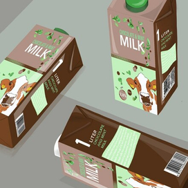 Chocolate Mint Milk