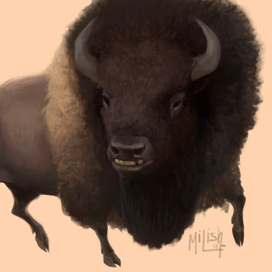 Бизон