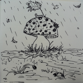 Осенний гриб