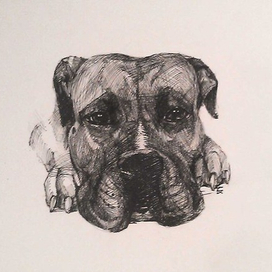 Жил-был пес