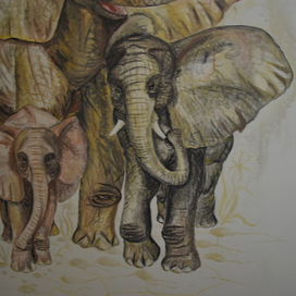 семья слонов