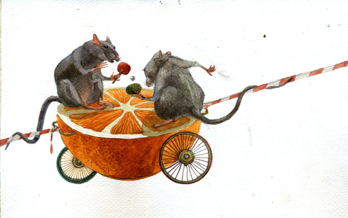 Сила противодействия