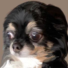 Рисунок собаки по фотографии