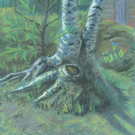 Березы. Весна.