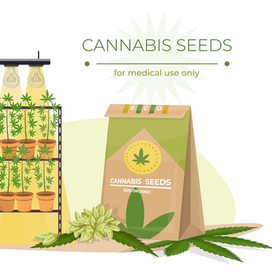 MEDICAL CANNABIS SET