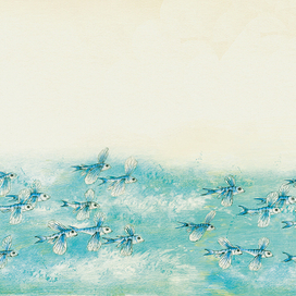 Летающие рыбки