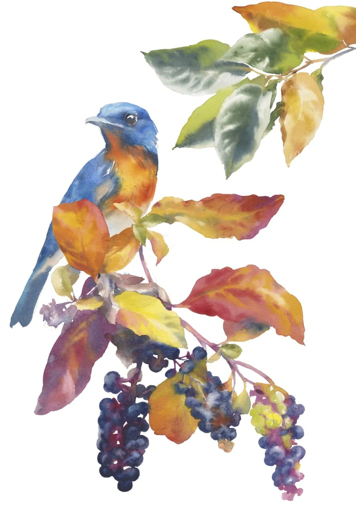 Птица на ветке | иллюстрация 