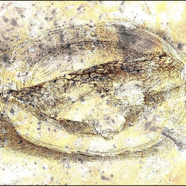 Рыбья чешуя