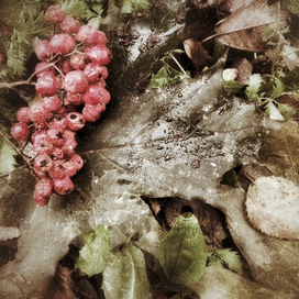 Осенний натюрморт