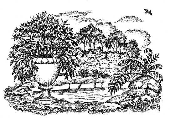 А. ФЕТ. стихотворения.