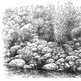 Берег с валунами