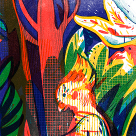 Книжка-картинка