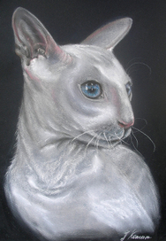 Пастель "Голубоглазая"