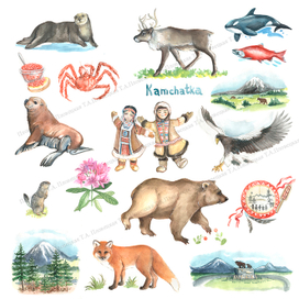 Все о Камчатке (паттерн)