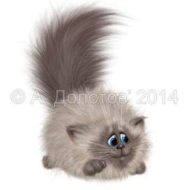 Какой-то котик