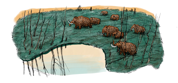 Охотники на мамонтов