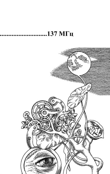 шмутцтитул3