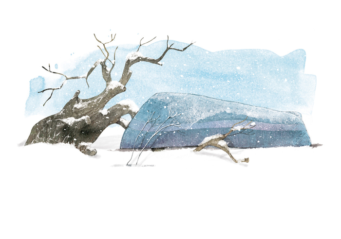 "Совиный волк"