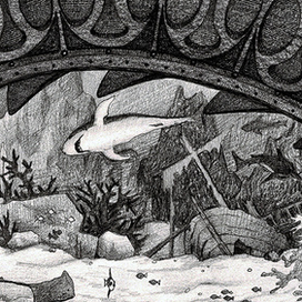 Подводный мир